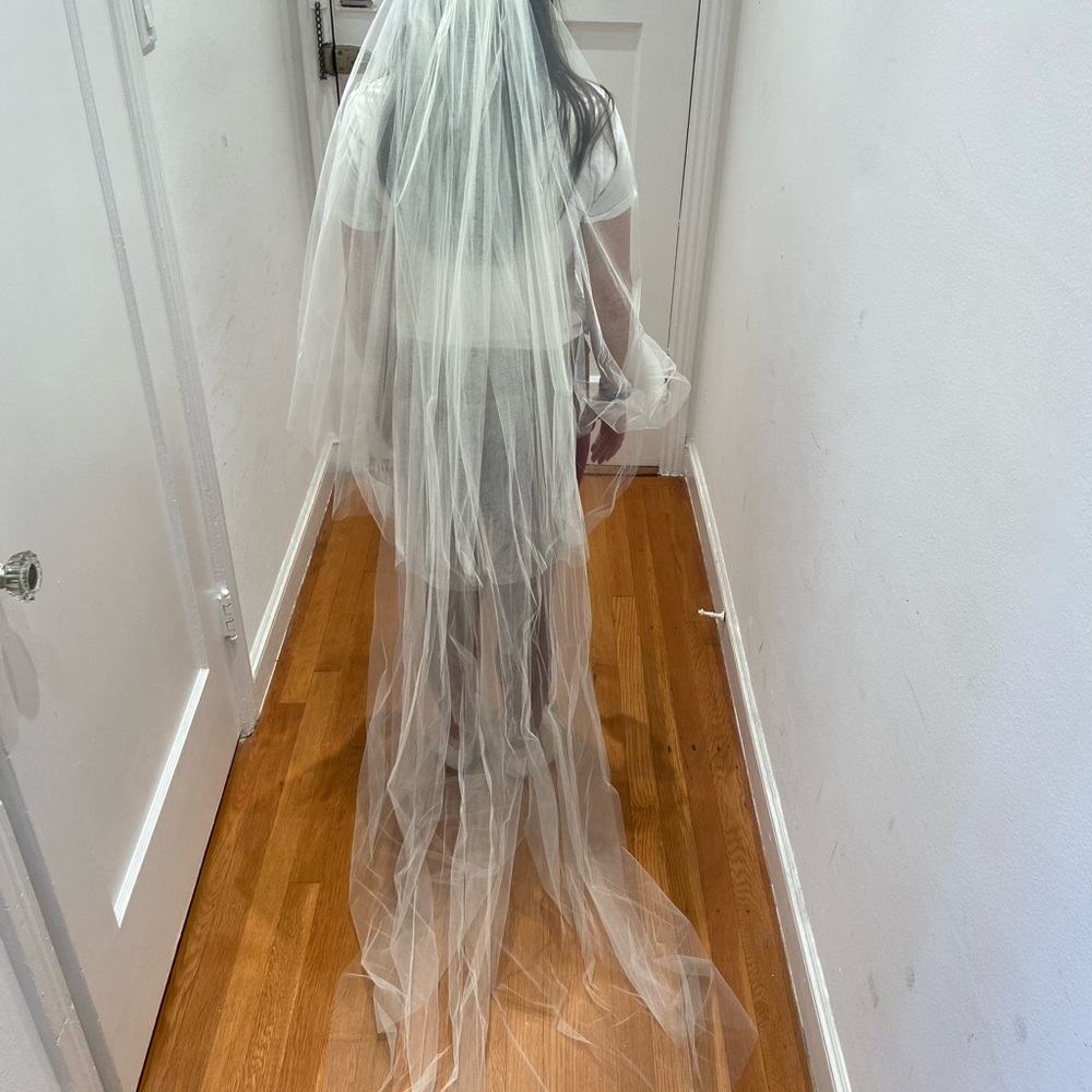 Elegant Long White Veil